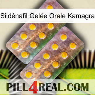 Sildénafil Gelée Orale Kamagra new10